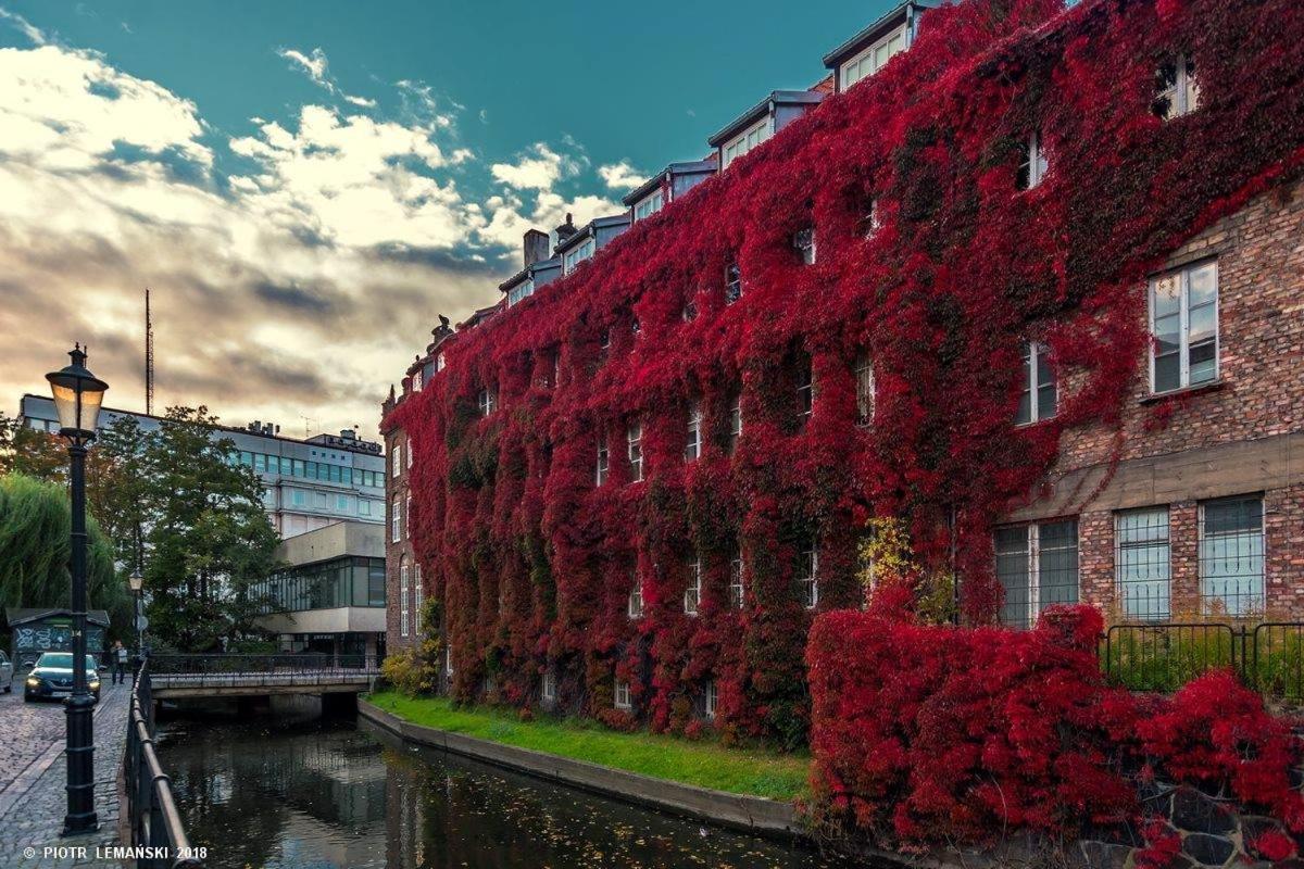 Four Seasons With Parking Place Lejlighed Gdańsk